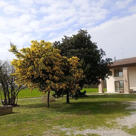 Agriturismo Trabucco Casale sul Sile Exterior foto